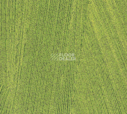 Ковровая плитка Milliken Facet fct 103-141 Lime фото 1 | FLOORDEALER